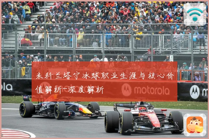 米科兰塔宁冰球职业生涯与核心价值解析-深度解析